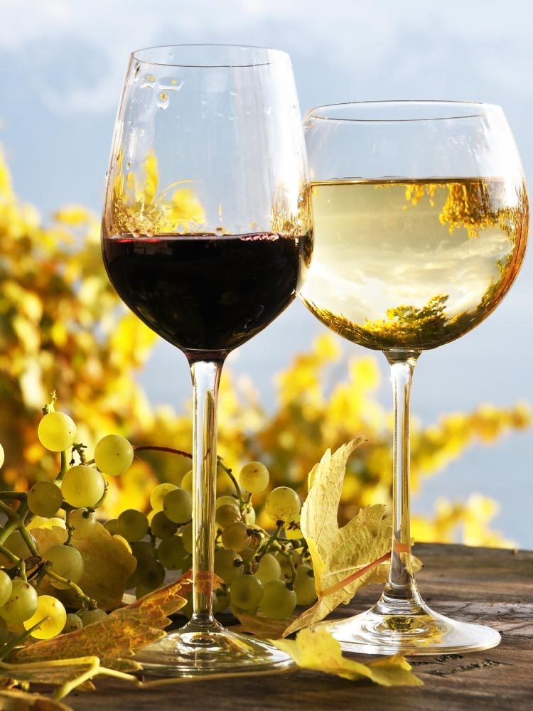 vini-rossi-e-bianchi-di-cristofano vini-rossi-e-bianchi-di-cristofano